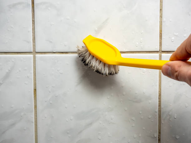 Best Attic Mold Removal  in Ceres, CA
