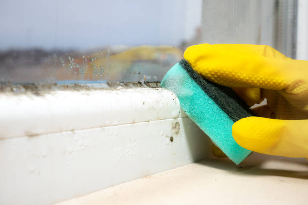 Best Residential Mold Removal  in Ceres, CA